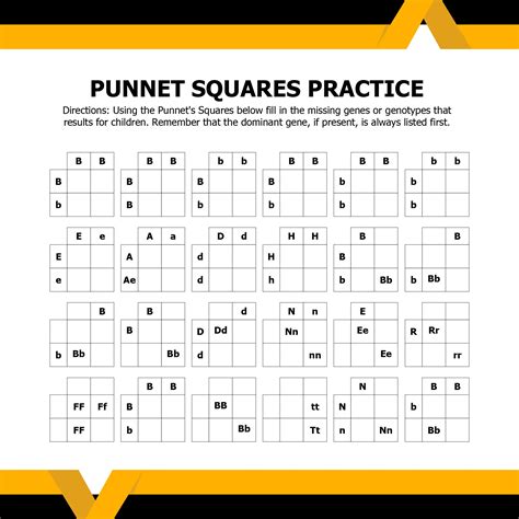 Punnett Square Practice Worksheet-1 - BIO 115 - Studocu - Worksheets