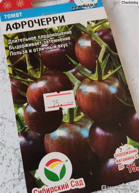 Томат Афрочерри (Сибирский сад) - «Если выращивать томат черри, то ...