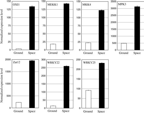 Expression of the predicted active MAPK cascade and transcription ...