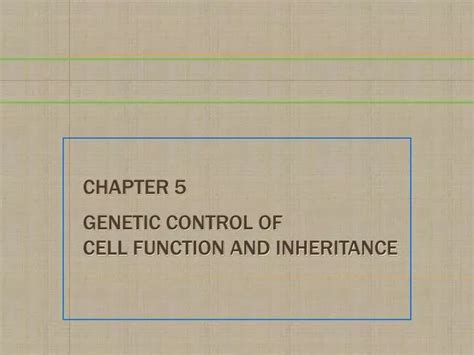 PPT Chapter 5 Genetic Control Of Cell Function And Inheritance