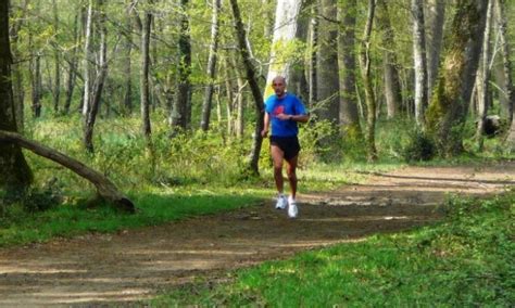 Amatori Di Trail Chirignago Obbligati A Correre