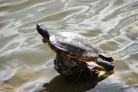 Life According to Jan and Jer 