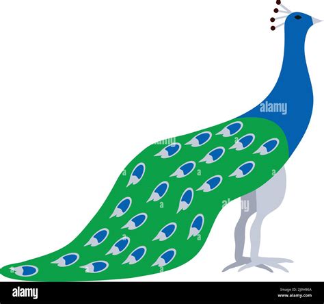 peacock exotic bird Stock Vector Image & Art - Alamy