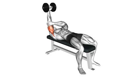 Dumbbell Lying One Arm Pronated Triceps Extension Video Exercise