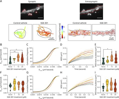 Positive Allosteric Modulation Of Nmdars Prevents The Altered Surface