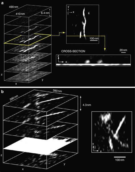 Magnetic Resonance Force Microscopy Springerlink