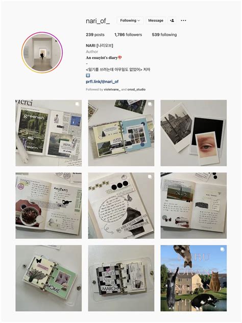 Introduce IG. Decorate 8 Account Chic Notebooks 🍄. Keep them together