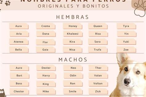 37 Mejores Apodos Para Marcos Nombres Divertidos Y Creativos Para El