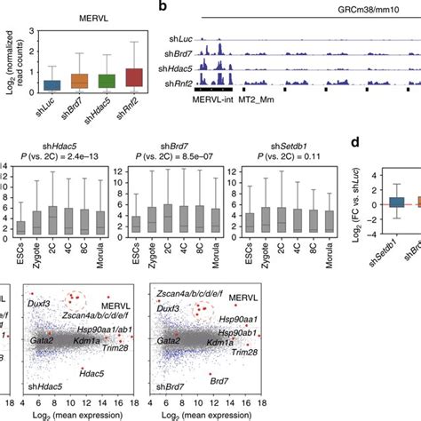 Schematic representation of the nucleosome and mammalian core histone ...