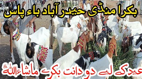 Bakra Eid 2024 Mall In Bakra Mandi Hyderabad Bypass YouTube