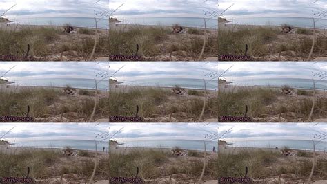 Stranger Nude Videos XVIDEOS