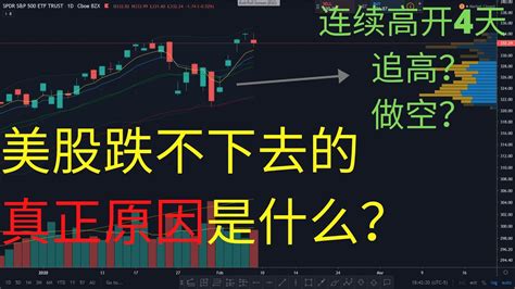 美股跌不下去的真正原因是什么各大版块和权重个股分析 MSFT APPL AMZN GOOGL FB JPM V MA TSM INTC