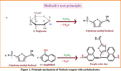 Figure 1 From Preliminary Qualitative Phytochemical Screening And