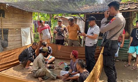 Bulan Puasa Tetap Nekat Sabung Ayam Kalangan Di Situbondo Dibubarkan