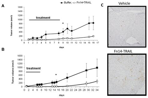 HepG2 Cells Were Injected Subcutaneously 4 5x106 Mouse To NUDE Mice