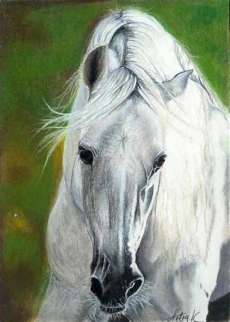 White Horse Head Painting at PaintingValley.com | Explore collection of ...