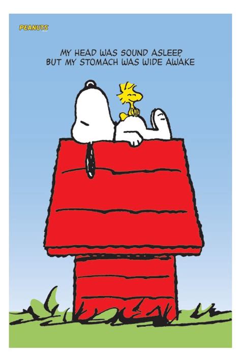 Quotes Snoopy And Woodstock. QuotesGram