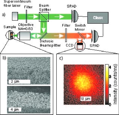 Color A Time Correlated Single Photon Counting Setup With Download Scientific Diagram