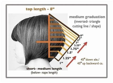 Pin By Hair By Annie Gill On Technically Hair In 2024 Hair Cutting