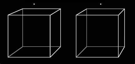 Learning To Free View See Stereoscopic Images With The Naked Eye The Stereoscopy Blog