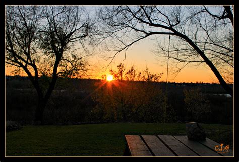 Backyard Sunset