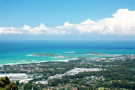 Coffs Harbour Termite Treatment, Termite Inspection - Flick