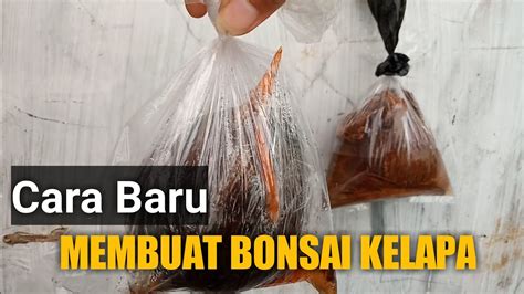 Cara Membuat Bonsai Kelapa Media Air YouTube