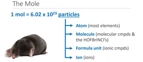 Unit 6 Chem The Mole Flashcards Quizlet