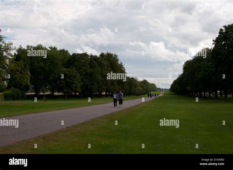 Windsor Great Park Stock Photo - Alamy