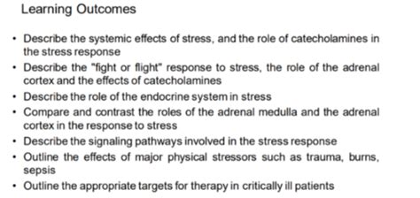 Stress Response Flashcards Quizlet