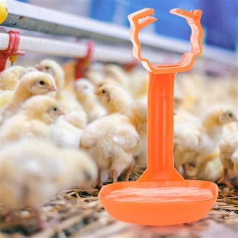 Mothinessto Buveur de poulet 10pcs Abreuvoir à Mamelon de Poulet Tasse