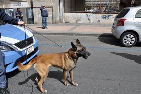 Controlli A San Berillo