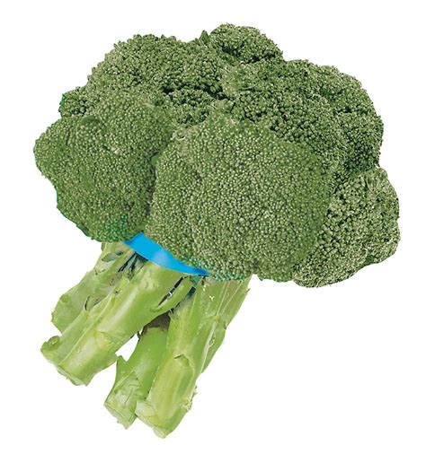 Fresh Broccoli Bunch Shop Broccoli Cauliflower And Cabbage At H E B