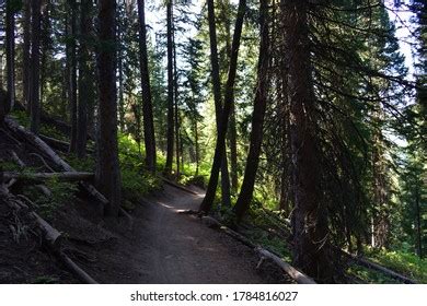 Hiking Trails In Millcreek Canyon Photos and Images | Shutterstock