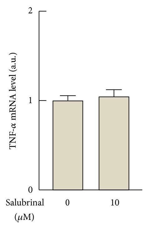 Effects Of Salubrinal On The Phosphorylation Of Eif In Raw