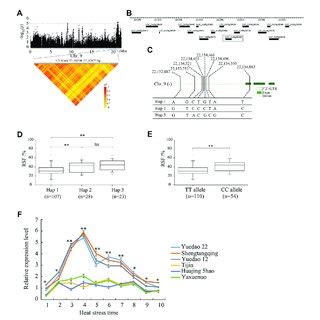 Identification Of The Candidate Genes For The Qtl Qrsf For Relative