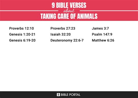 9 Bible Verses about Taking Care Of Animals?