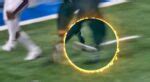 Video New Gruesome Slo Mo Video Shows Close Up Of Lions Cb Khalil