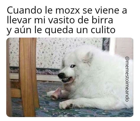 Cuando le mozx se viene a llevar mi vasito de birra y aún le queda un