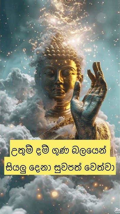 උතුම් වූ දම් ගුණ බලයෙන් සියලු දෙනා සුවපත් වෙත්වා🙏☸️🙏 Flute Music