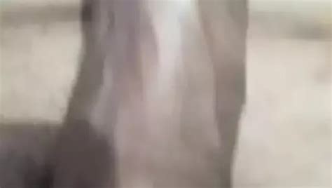 Meta Tin Peritomi Nude Pics XHamster