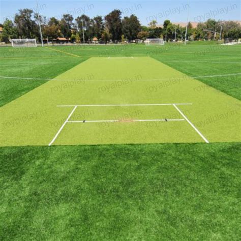 Excellent Artificial Sports Grass For Cricket Turf Artificial Grass