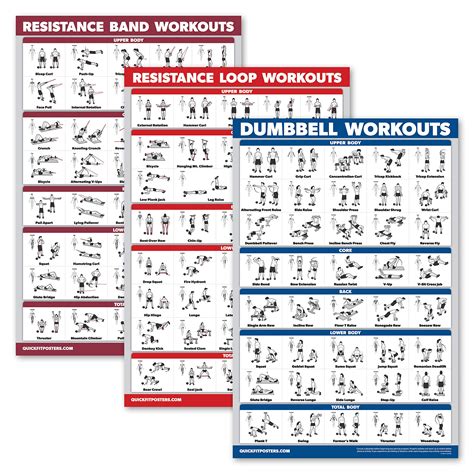 Buy Palace Learning Pack Resistance Bands Exercise Poster