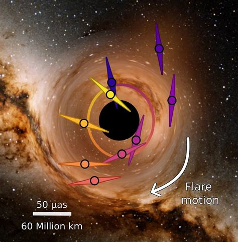 Black hole mass measured from its motion