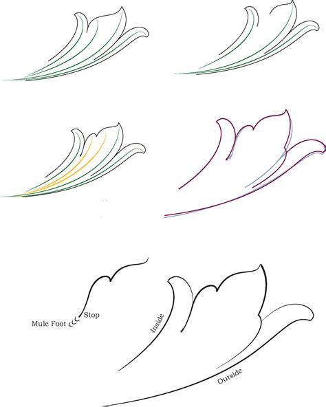 Acanthus Leaf Sketch