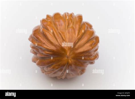 A Macrophotograph Of A Polished Nut Of The Black Walnut