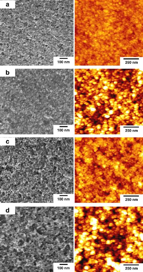 FEGSEM Left And AFM Images Right For Composite Films A S1 20