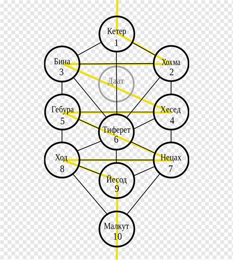 Rbol De La Vida Kabbalah Sefirot Juda Smo Qabalah Herm Tico Juda Smo