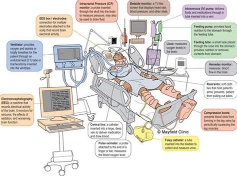 Icu Flashcards Quizlet