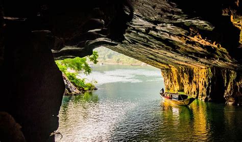 Discover The Nature In Phong Nha Botanical Garden Paradise Cave